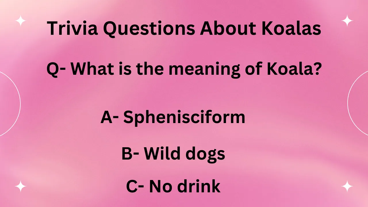 Trivia Questions About Koalas