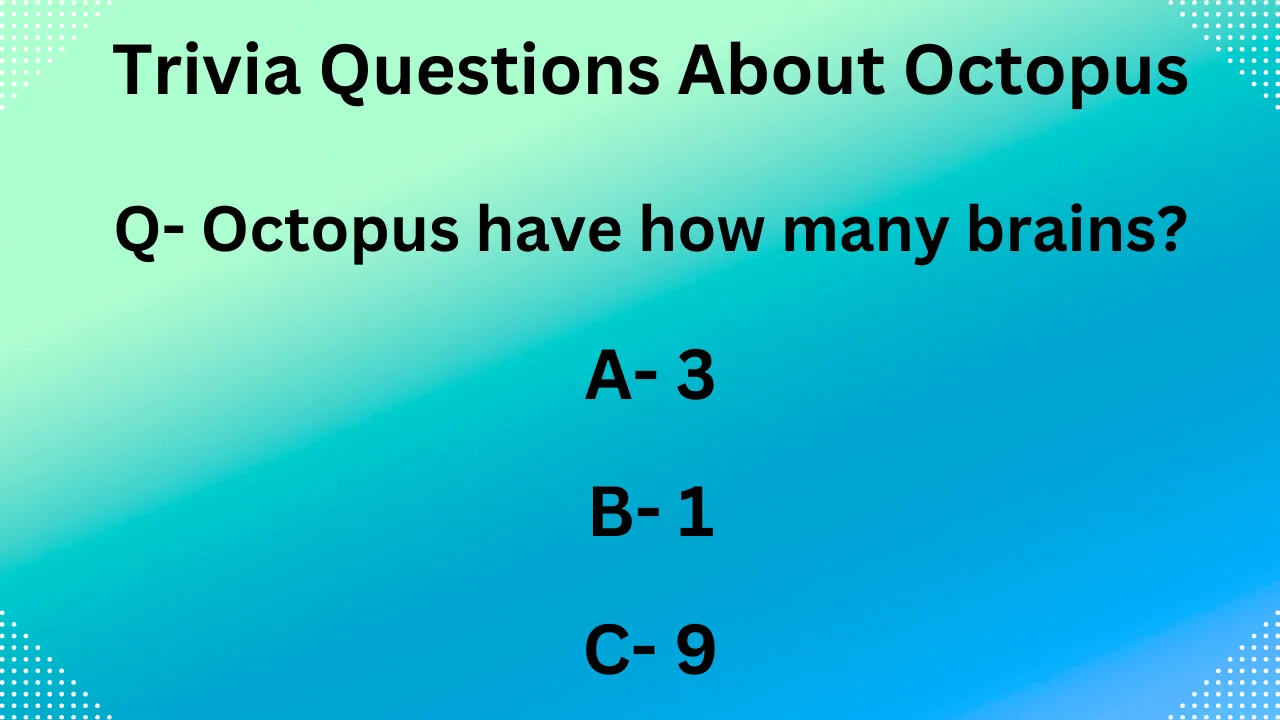 Trivia Questions About Octopus