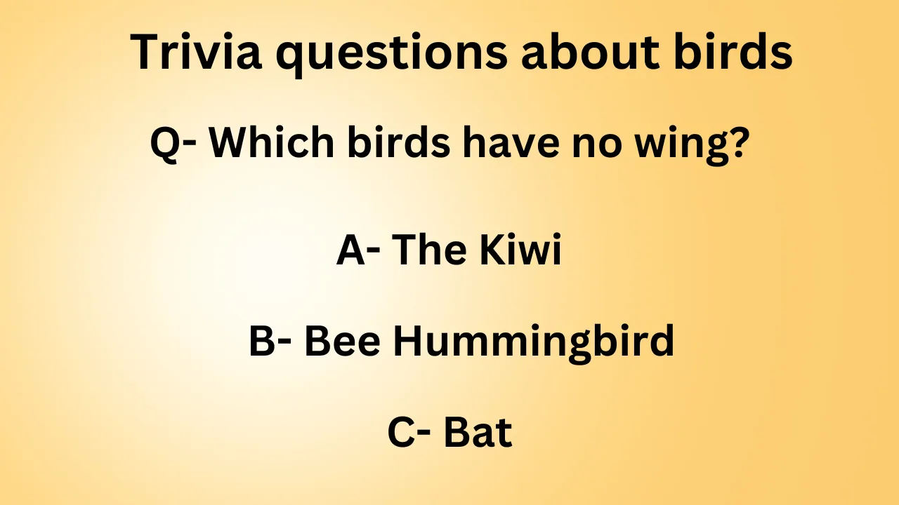 Trivia questions about birds