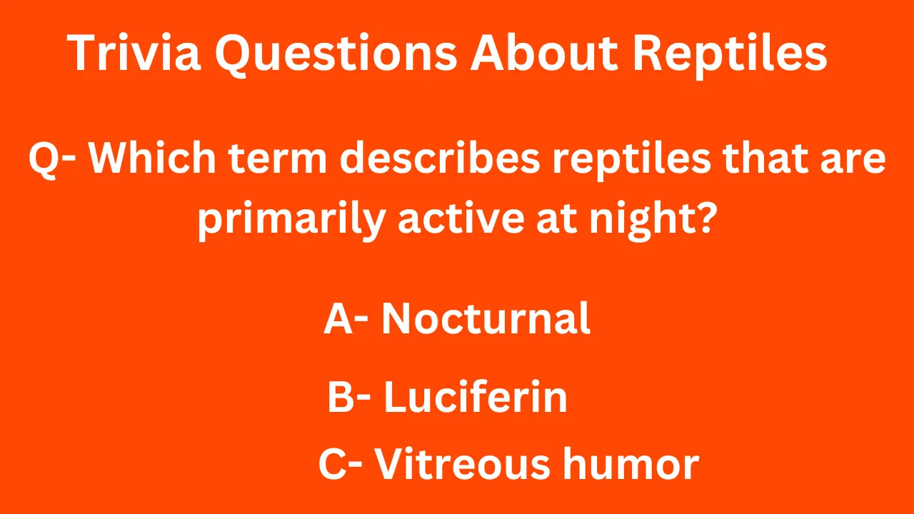 Trivia Questions About Reptiles